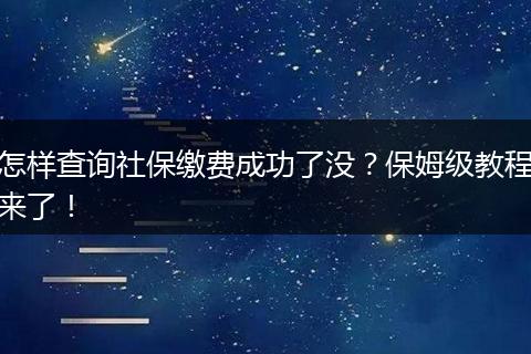 怎样查询社保缴费成功了没？保姆级教程来了！