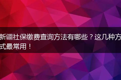 新疆社保缴费查询方法有哪些？这几种方式最常用！