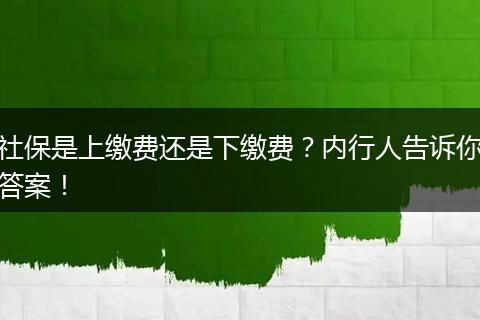 社保是上缴费还是下缴费？内行人告诉你答案！