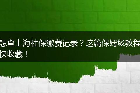 想查上海社保缴费记录？这篇保姆级教程快收藏！