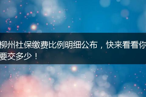柳州社保缴费比例明细公布，快来看看你要交多少！