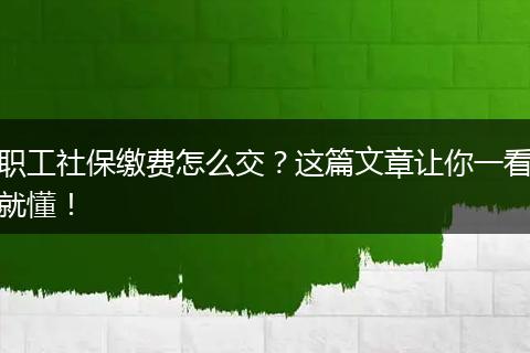 职工社保缴费怎么交？这篇文章让你一看就懂！