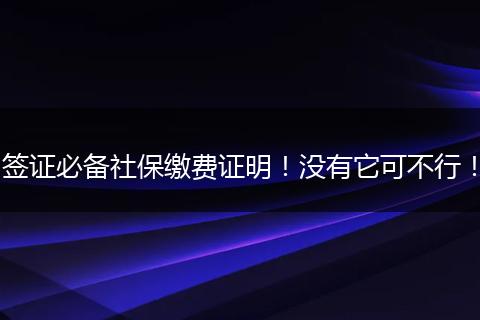 签证必备社保缴费证明！没有它可不行！