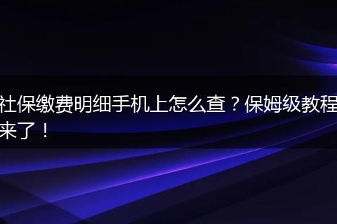 社保缴费明细手机上怎么查？保姆级教程来了！