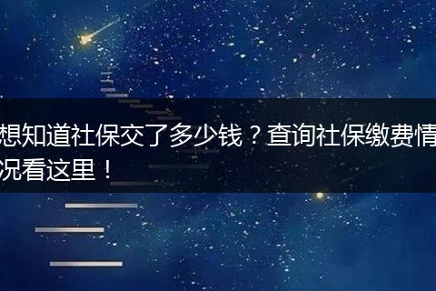 想知道社保交了多少钱？查询社保缴费情况看这里！