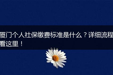 厦门个人社保缴费标准是什么？详细流程看这里！