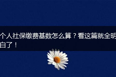 个人社保缴费基数怎么算？看这篇就全明白了！