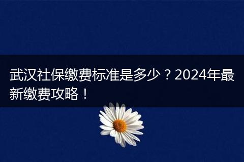 武汉社保缴费标准是多少？2024年最新缴费攻略！
