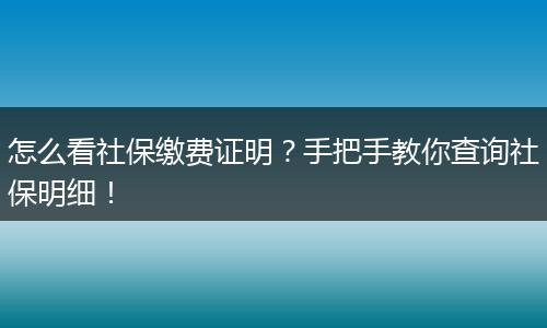 怎么看社保缴费证明？手把手教你查询社保明细！