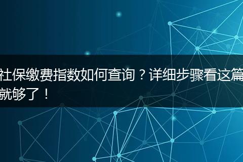 社保缴费指数如何查询？详细步骤看这篇就够了！