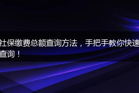 社保缴费总额查询方法，手把手教你快速查询！