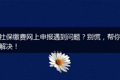 社保缴费网上申报遇到问题？别慌，帮你解决！