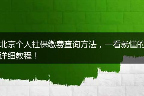 北京个人社保缴费查询方法，一看就懂的详细教程！
