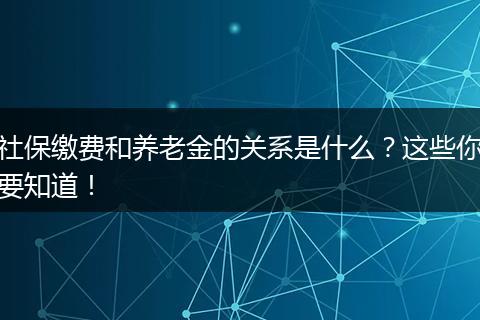 社保缴费和养老金的关系是什么？这些你要知道！