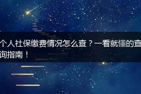 个人社保缴费情况怎么查？一看就懂的查询指南！