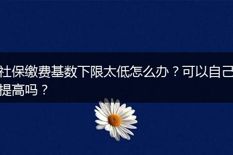 社保缴费基数下限太低怎么办？可以自己提高吗？