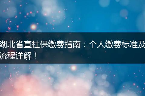 湖北省直社保缴费指南：个人缴费标准及流程详解！