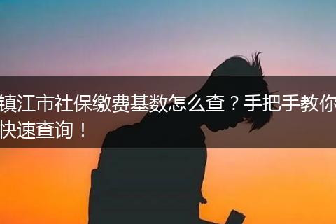 镇江市社保缴费基数怎么查？手把手教你快速查询！
