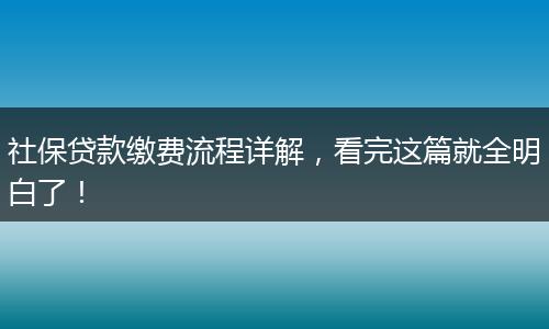 社保贷款缴费流程详解，看完这篇就全明白了！