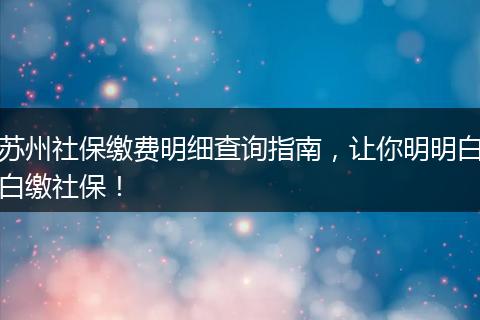 苏州社保缴费明细查询指南，让你明明白白缴社保！