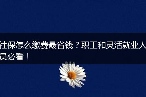 社保怎么缴费最省钱？职工和灵活就业人员必看！