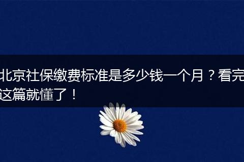 北京社保缴费标准是多少钱一个月？看完这篇就懂了！