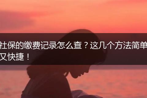 社保的缴费记录怎么查？这几个方法简单又快捷！