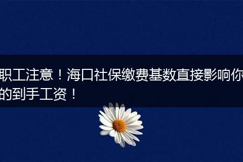 职工注意！海口社保缴费基数直接影响你的到手工资！