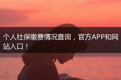 个人社保缴费情况查询，官方APP和网站入口！