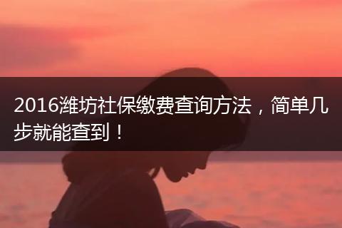 2016潍坊社保缴费查询方法，简单几步就能查到！