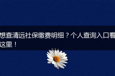 想查清远社保缴费明细？个人查询入口看这里！