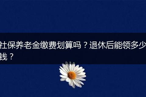 社保养老金缴费划算吗？退休后能领多少钱？
