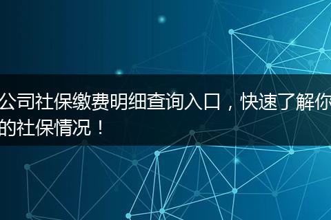 公司社保缴费明细查询入口，快速了解你的社保情况！