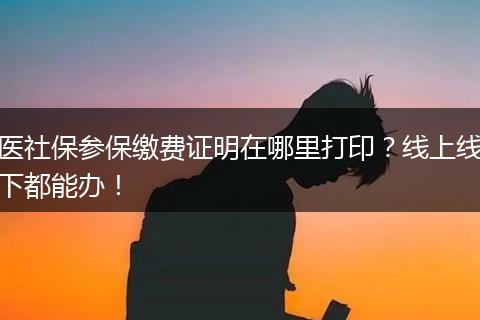 医社保参保缴费证明在哪里打印？线上线下都能办！