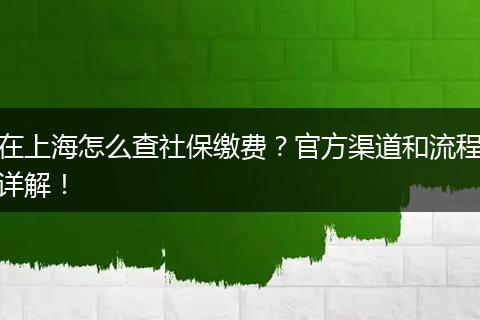 在上海怎么查社保缴费？官方渠道和流程详解！