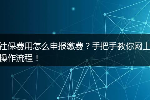 社保费用怎么申报缴费？手把手教你网上操作流程！