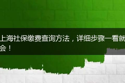 上海社保缴费查询方法，详细步骤一看就会！
