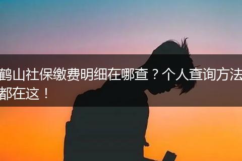 鹤山社保缴费明细在哪查？个人查询方法都在这！