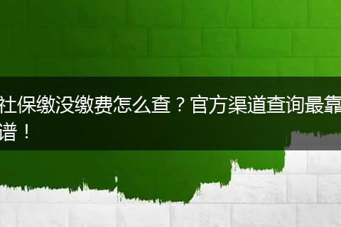 社保缴没缴费怎么查？官方渠道查询最靠谱！