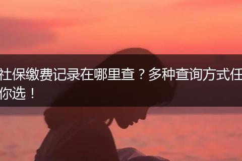 社保缴费记录在哪里查？多种查询方式任你选！