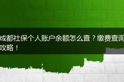 成都社保个人账户余额怎么查？缴费查询攻略！