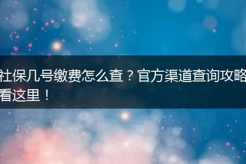 社保几号缴费怎么查？官方渠道查询攻略看这里！