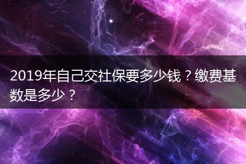 2019年自己交社保要多少钱？缴费基数是多少？