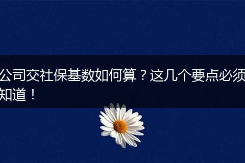 公司交社保基数如何算？这几个要点必须知道！