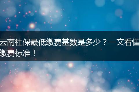 云南社保最低缴费基数是多少？一文看懂缴费标准！