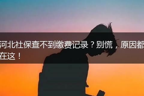 河北社保查不到缴费记录？别慌，原因都在这！