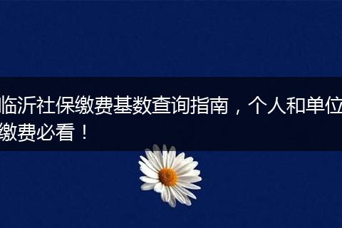 临沂社保缴费基数查询指南，个人和单位缴费必看！