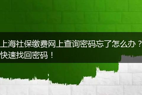 上海社保缴费网上查询密码忘了怎么办？快速找回密码！