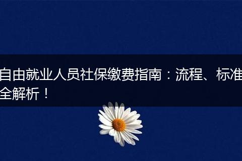 自由就业人员社保缴费指南：流程、标准全解析！