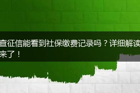 查征信能看到社保缴费记录吗？详细解读来了！